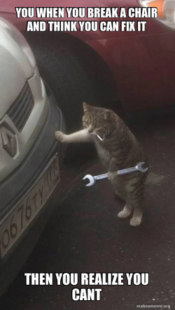 Mechanic Cat