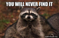 Evil Plotting Raccoon