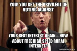 Donald Trump Says