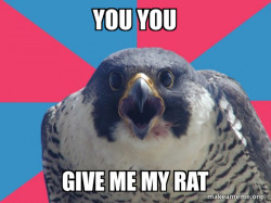 Millennial Falcon
