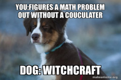 Unsure Dog