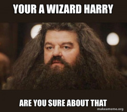 Hagrid - I should not have said that