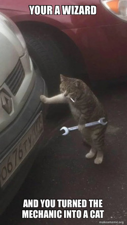 Mechanic Cat