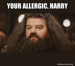 Hagrid - I should not have said that