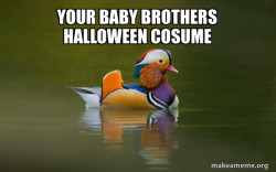 Fashionable Advice Mallard