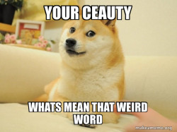 Doge