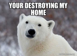Popular Opinion Polar Bear