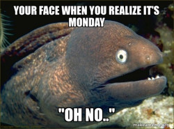 Bad Joke Eel