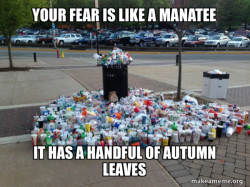 Canadian Football Fans meme