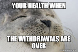 Satisfied Seal