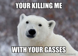 Popular Opinion Polar Bear