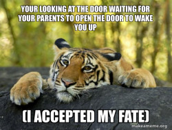Confession Tiger