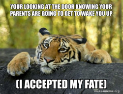 Confession Tiger