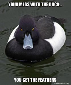 Revenge Duck ( Angry Advice Duck )