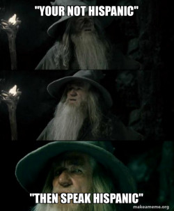 Confused Gandalf