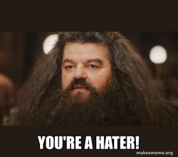 Hagrid - I should not have said that