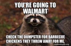 Evil Plotting Raccoon