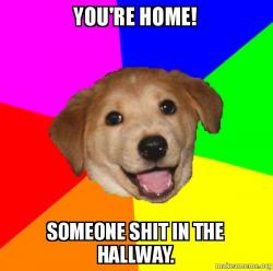 Advice Dog