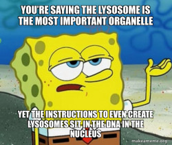 Tough SpongeBob