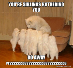 Storytelling Dog