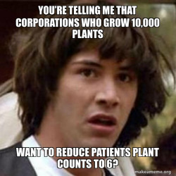 Conspiracy Keanu