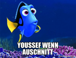 Dory from Nemo  (5 second memory)