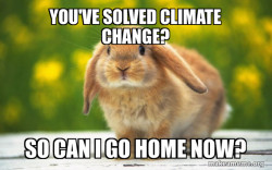 Regretful Rabbit