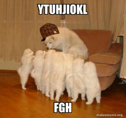 Scumbag Storytelling Dog