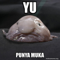 Blobfish