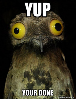 Weird Stuff I do Potoo