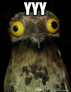Weird Stuff I do Potoo