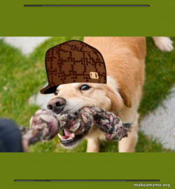 Scumbag dog
