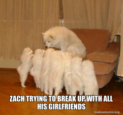 Storytelling Dog