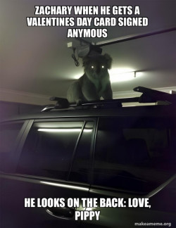 Drop Bear