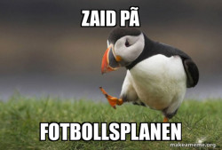 Unpopular Opinion Puffin