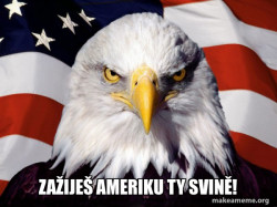 American Pride Eagle