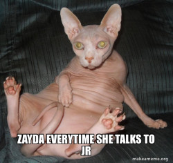 Hairless Cat