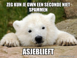 Popular Opinion Bear