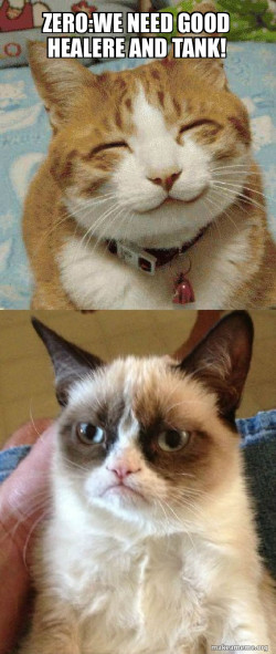 Grumpy Cat vs Happy Cat