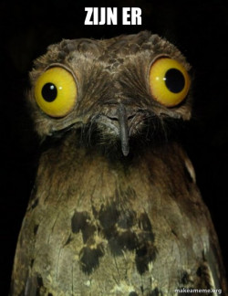 Weird Stuff I do Potoo