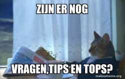 Sophisticated Cat