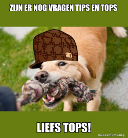 Scumbag dog
