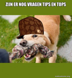 DOGG
