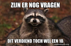 Evil Plotting Raccoon