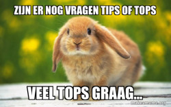 Regretful Rabbit
