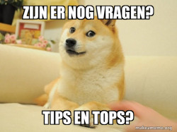 Doge