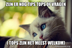 First World Cat Problems