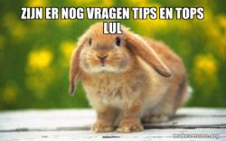 Regretful Rabbit