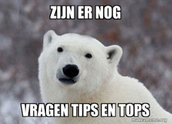 Popular Opinion Polar Bear