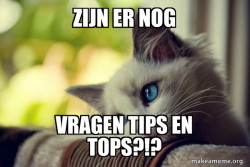 First World Cat Problems